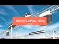 Новости SkyWay. Июль 2018