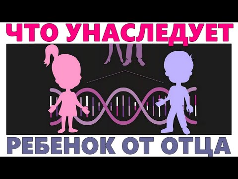 Видео: Какие черты характера нельзя унаследовать?