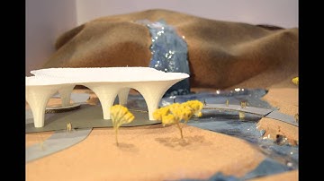 TimeLapse Lion Zoo | Advanced Prototyping