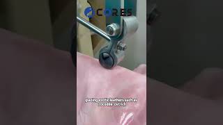 Crocodile leather polishing machine