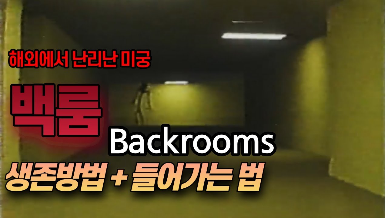 해외에서 난리난 초자연 미궁 백룸(Backrooms) 들어가는 법