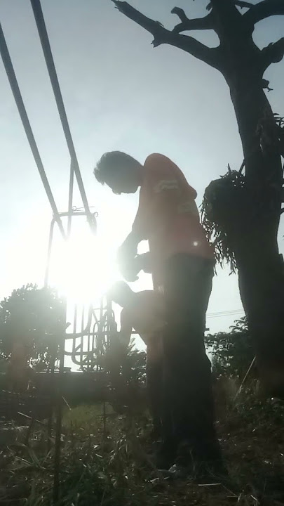 asimbol