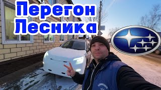 видео: Зимний перегон SUBARU FORESTER из  Владивостока в Иркутск картинка: Зимний перегон SUBARU FORESTER из  Владивостока в Иркутск