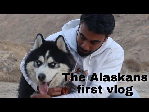 Video: Se Backskridskoåkare Utforska Alaskans Vildmark