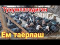 Тухумлатадиган ем таёрлаш сирини ургатамиз