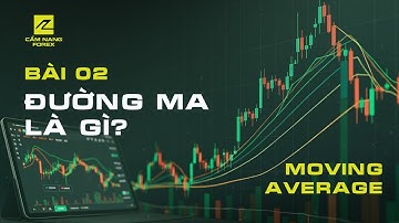 Đường MA (Moving Average) Là Gì? Hướng Dẫn Chi Tiết Cho Người Mới