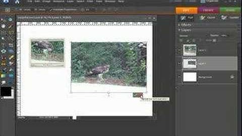 Digital Scrapbooking First Layout Tutorial Part 3
