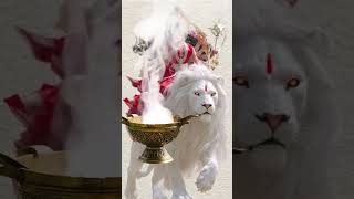 sher pe sawar hoke aaja sherawaliye #bhaktisong #jaimatadi #jaimaadurga #maadurga #maa