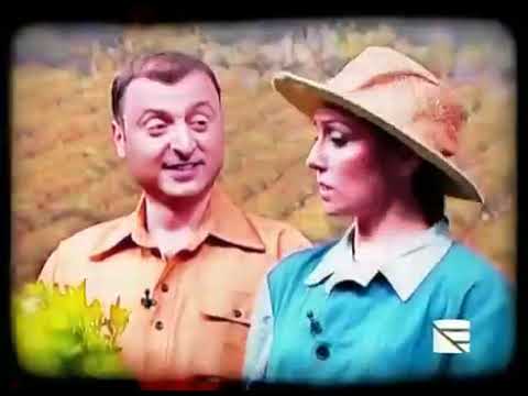 კომედი შოუ - ჩაის კრეფა / komedi shou -  chais krefa