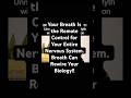 Your Breath Is the Remote Control for Your Entire Nervous System. One Breath Can Rewire Your Biology