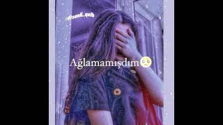 Whatsapp Ucun Maraqli Statuslar Sevgiye Aid Video Sounds App 2021 Status Ucun Video,Menali Video