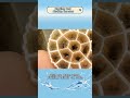 Popular fillers in biofilters - #mbbr #fishtank #biofilm #filtermedia #watertreatment #factory