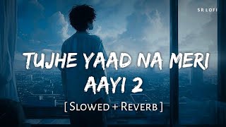 Tujhe Yaad Na Meri Ayee 2 (Slowed   Reverb) | B Praak, Jaani | SR Lofi