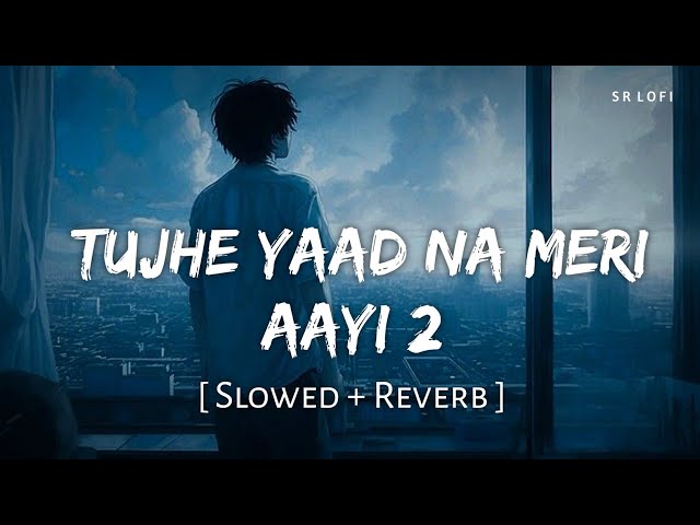 Tujhe Yaad Na Meri Ayee 2 (Slowed + Reverb) | B Praak, Jaani | SR Lofi class=