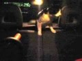 貞子にゃー