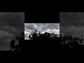 weather #viral #nature #sky #tree