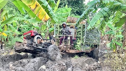 Phần cuối của video xe công nông 2 cầu chở chuối gặp phải bùn lầy lội nhất của KIU 81