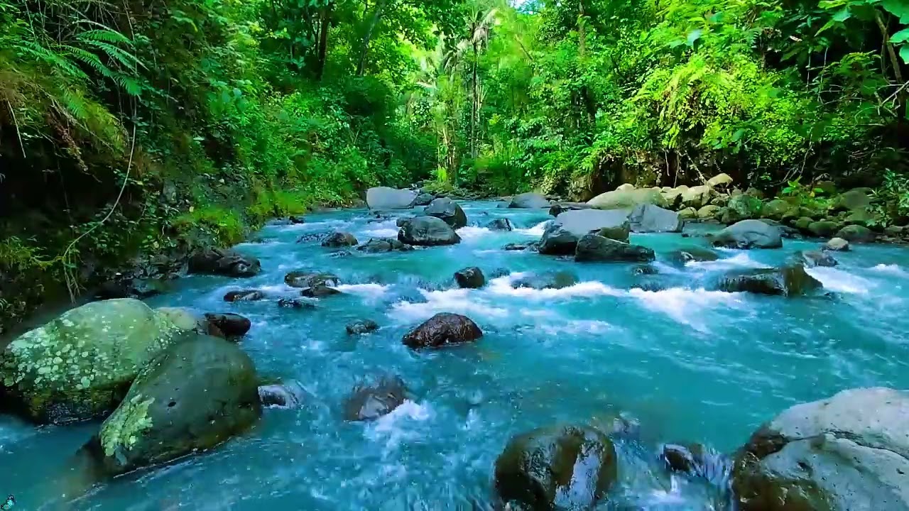 Peaceful Morning River Sounds 🌲💧 Calm Water Sounds for Relax