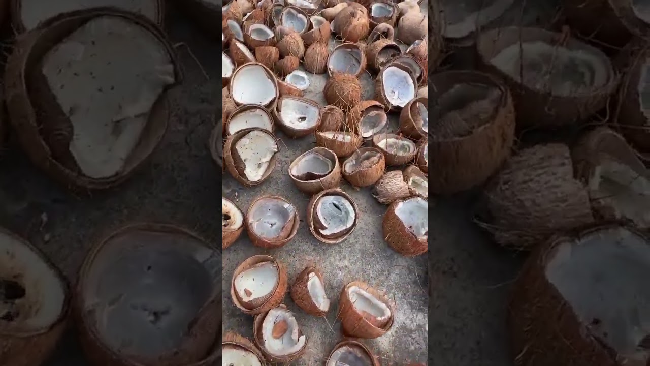 Any Coconut oil lovers here? | Deyga