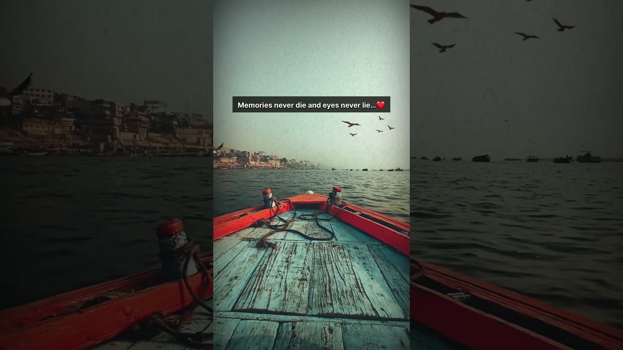 Support pls❤️🌸 #deepthoughts #inspirationalquotes #lifelessons #quotes #lifechangingthoughts #love