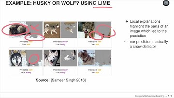 IML - 06 LIME - 01 Introduction to Local Explanations