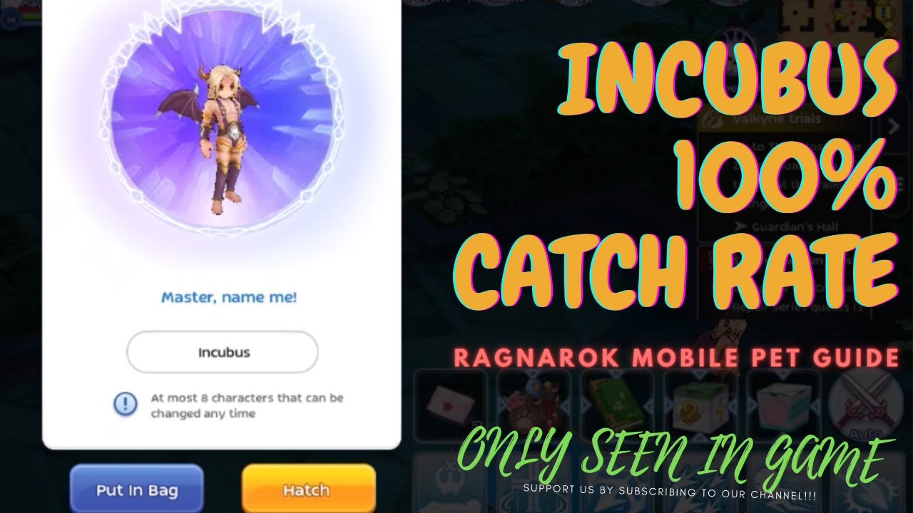 HOW TO CATCH INCUBUS 100 SUCCESS RATE PET GUIDE [RAGNAROK M ETERNAL