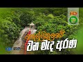 Nellikulama panchasathika charika ramaya  sri lanka travel vlog 107