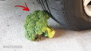 Car Vs Broccoli Experiment 1 车Vs西兰花