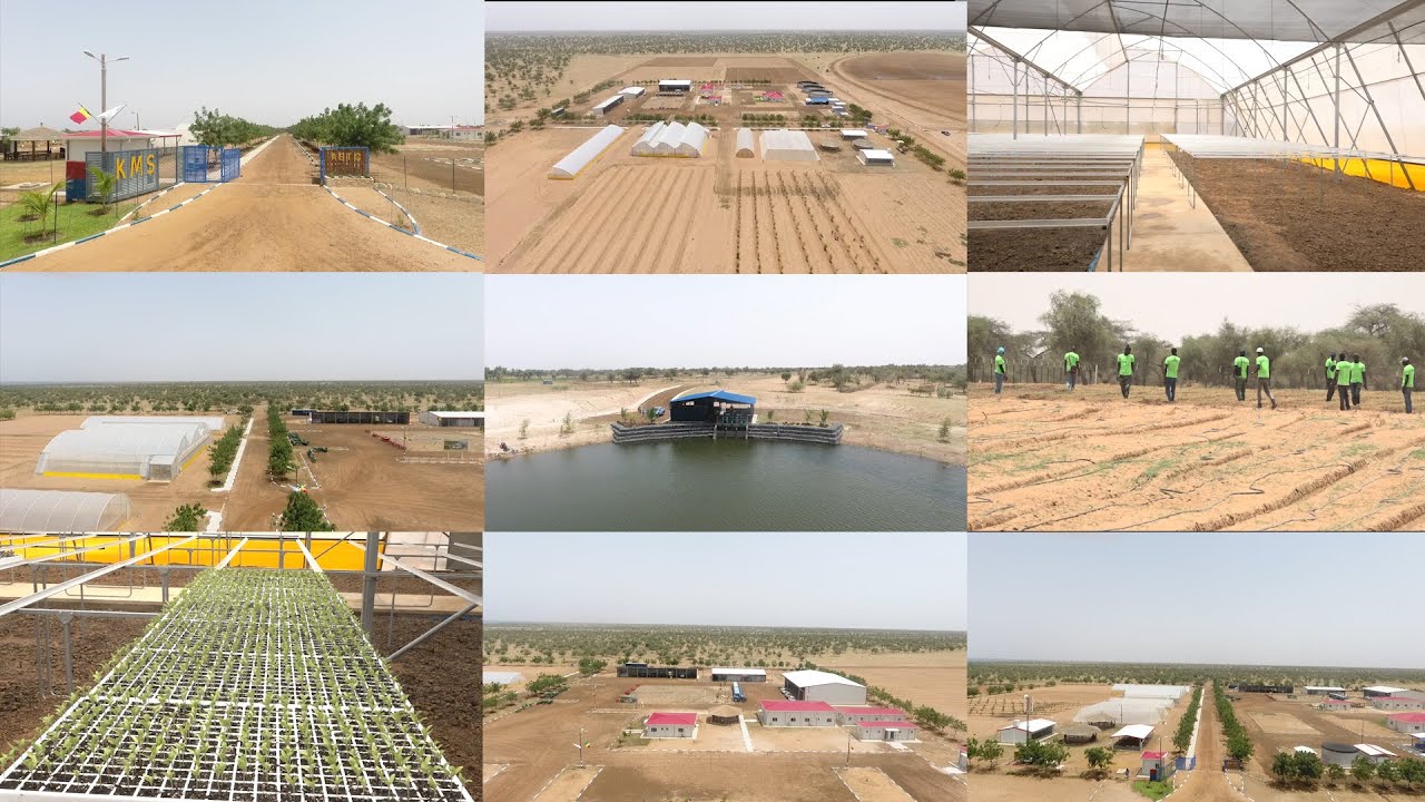 Keur Momar Sarr ( KMS ). le nouveau visage du DAC