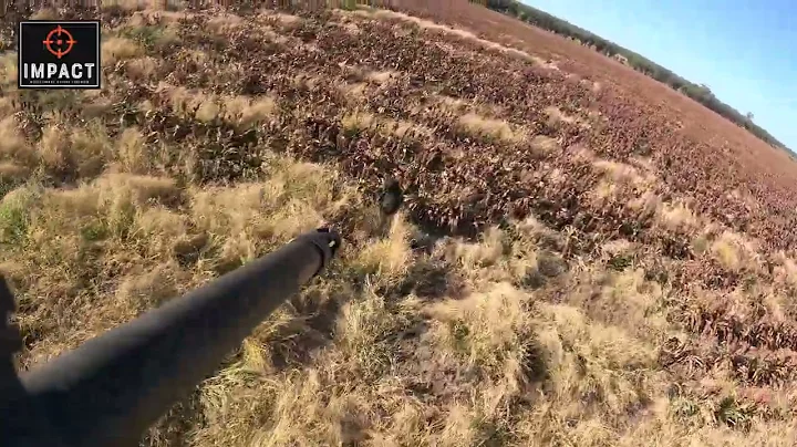 Helictopter Pig Hunting Australia  (Short Video)