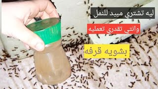 تركوا المنزل وهجروه لهذا السبب/ التخلص من النمل في المنزل بدون مبيدات