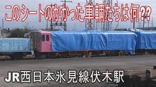 【駅に行って来た】JR西日本氷見線伏木駅は正体不明の車輌が居る臨港線が分岐する駅