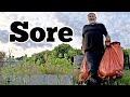 I'm Sore | Allotment Gardening With Tony