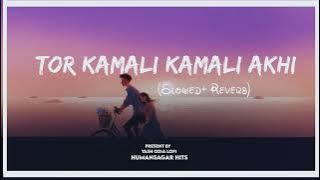 Tora Kamali Kamali Akhi || Slow  Reverb New song || Humansagar New Song Odia (Slow Reverb)  ||
