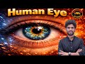 Human Eye and Colourful World | Class 10 Full Chapter Animation| Class 10 Science Chapter 11|CBSE