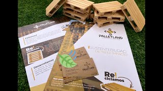 Empresa recicla pallets y residuos de madera en Norte Grande de Chile