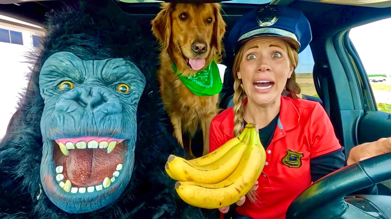 Полиция удивила гориллу и щенка погоней на машине