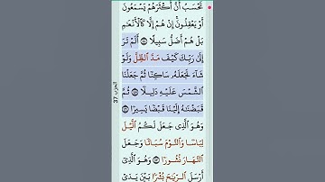 quran karim #quran #القرآن_الكريم #الجزائر #تلاوة #المغرب #السعودية #القرآن #محمد_الفقيه #minber_tv