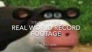 Flying gorilla world record run (Earrape)