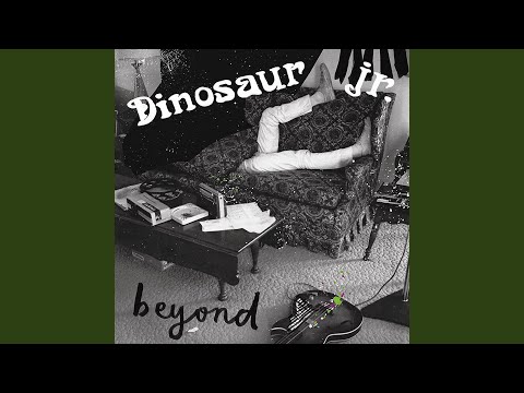 Dinosaur Jr. — This Is All I Came To Do