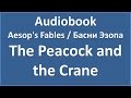 Aesop&#39;s Fables - The Peacock and the Crane (текст, перевод и транскрипция слов)