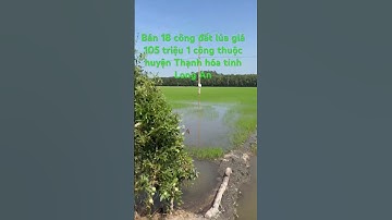 Cần bán nhanh DT 18 công đất lúa giá 105 triệu 1 công thuộc huyện Thạnh hóa tỉnh Long An