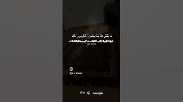 سوره نساء آیه 147 #dubai #oman #qalb #qatar #quran #شعر #قرآن #قران_كريم #قرآن_كريم #سورة_نساء #لايك