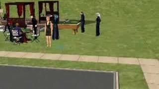 Sims Randomness Fights Galore Woot