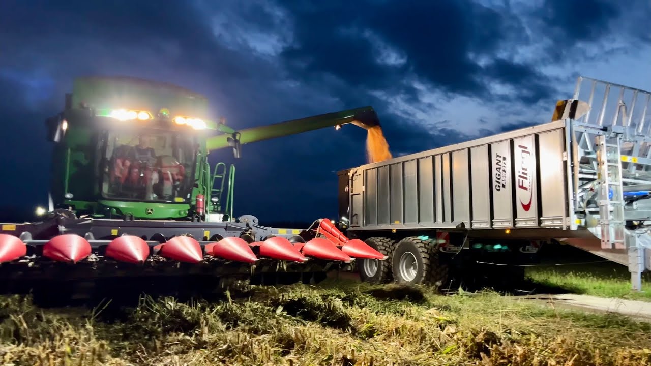 Žetev koruze in siliranje zrnja / Ekstremno mokro leto uničilo pridelek 🌽🚜🌧️ John Deere & Landini