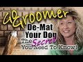 De-Mat your Dog-The Secret you need to know!