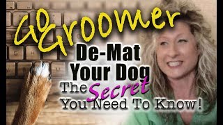 DeMat your DogThe Secret you need to know!