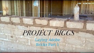 Laying Adobe Bricks Part 1