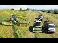 Boys With The Big Toys - Chopping Grass Silage In New Zealand