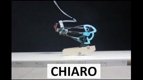 Monopod Hopper CHIARO